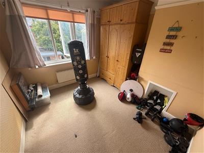Picture 8